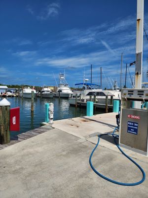 Burdines Waterfront by null