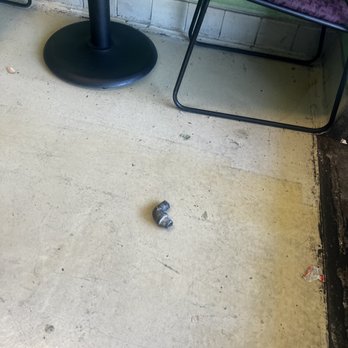 Abas Hamidi Afghan Cuisine - Random pipe piece right near the door entrance - Afghan Near Me - Concord, California Abas Hamidi Afghan Cuisine - Random pipe piece right near the door entrance - Afghan Near Me - Concord, California