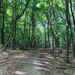 Took a walk on the trail. It's not too long, 3 miles at most