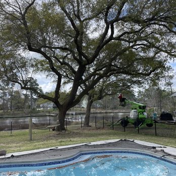 Godhans - Tree Services Near Me - Jacksonville, North Carolina Godhans - Tree Services Near Me - Jacksonville, North Carolina