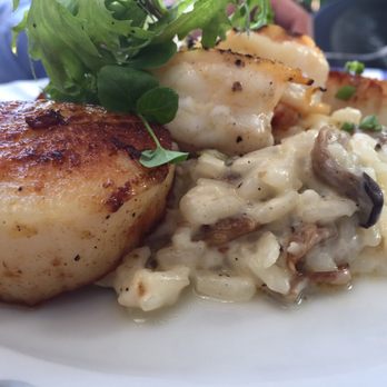Cedar Knoll - Yum! - New American Near Me - Alexandria, Virginia