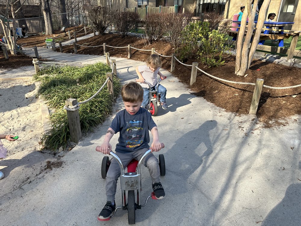 Learning Jungle - Hope Valley - childcare center in Durham, NC