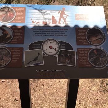 Camelback Mountain - Parks Near Me - Phoenix, Arizona