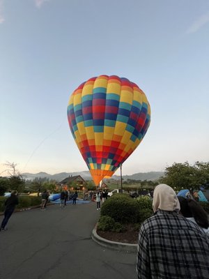 Napa Valley Aloft Hot Air Balloon Rides by null