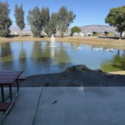Reflection Lake RV Park & Fishing Campground