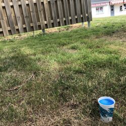 Doc's Shake Shoppe - Blue Raspberry Slushie