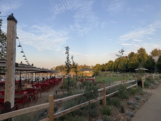 Pal’s - Hayden Island by null