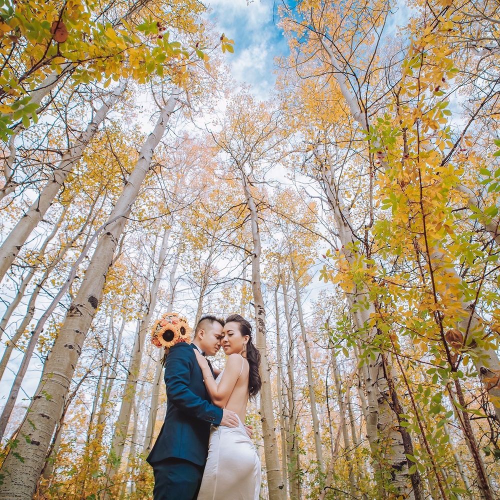 1abpro Photography - Session Photography Near Me