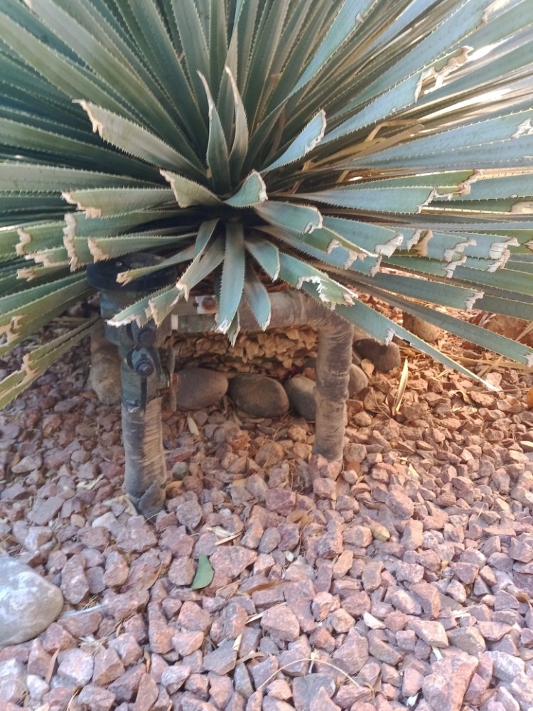 Slide of Honest Irrigation Repairs