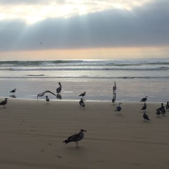 Oceano Dunes State Vehicular Recreation Area  - Parks Near Me - Oceano, California