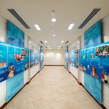 Creativescape Studio - Avow Inc. History Wall, Naples Florida - Web Design Near Me