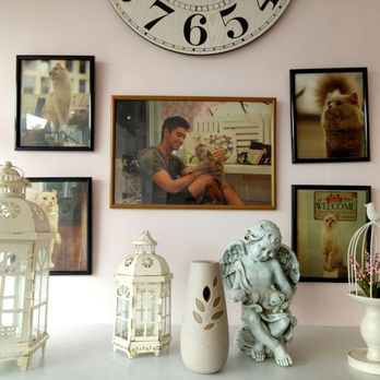 Velvet Friends Cat Cafe - Cafes Near Me - Pasay, NCR