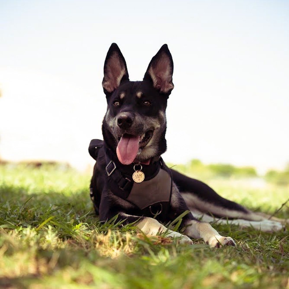 Samantha Enjoying The Shade