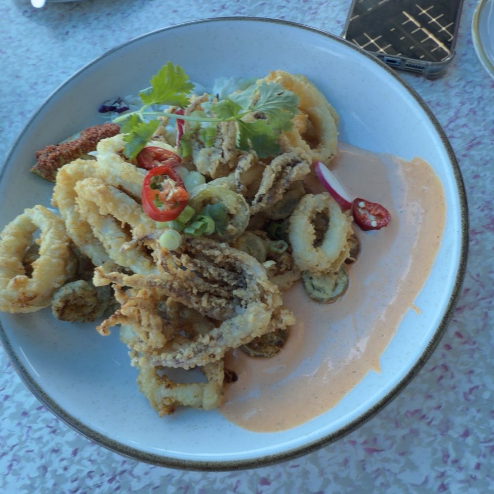Coasterra - Calamari - Mexican Near Me - San Diego, California