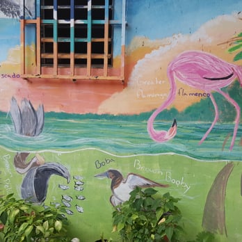 The Vieques Conservation & Historical Trust - Community Service/Non-Profit Near Me - Vieques, Puerto Rico