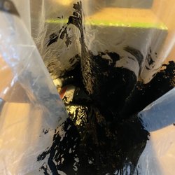 Jo-Ann Fabric - The bag inside the box with my order in it covered in black paint. 32 ounces of black paint
