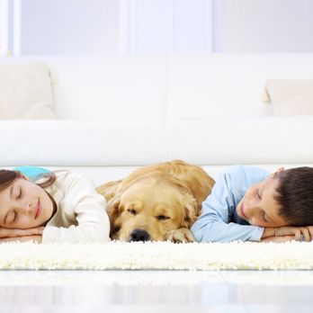 Aqualux Carpet Cleaning - Home Cleaning Near Me - Dallas, Texas Aqualux Carpet Cleaning - Home Cleaning Near Me - Dallas, Texas