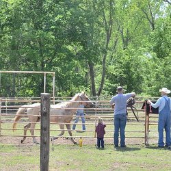 Honey Lee Ranch