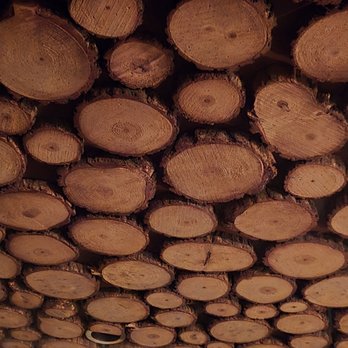 The Bigfoot Lodge - Even the ceiling is in theme! - Lounges Near Me - Los Angeles, California The Bigfoot Lodge - Even the ceiling is in theme! - Lounges Near Me - Los Angeles, California