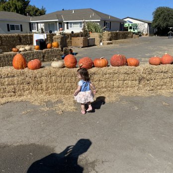 Borchard Farms - Pumpkin Patches Near Me - Salinas, California