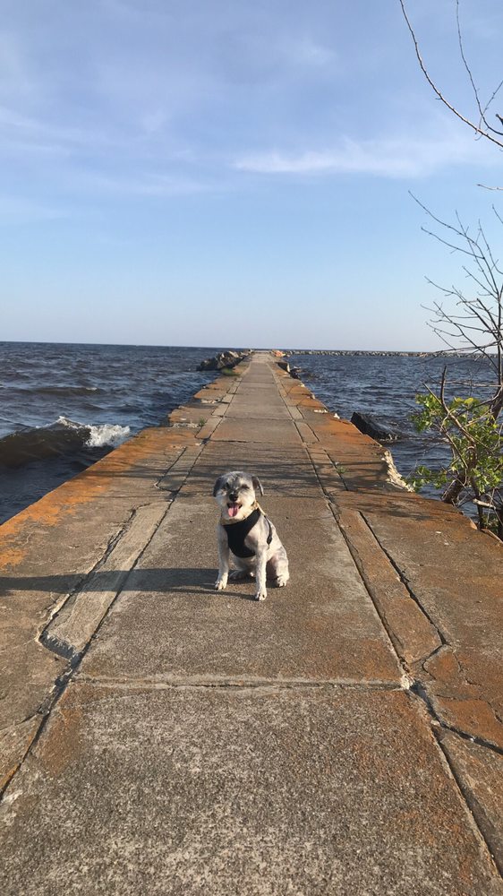 QUALITY GROOMING 13 Photos & 41 Reviews Pet Groomers 2163 W