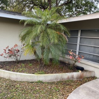 The Cottages on the Key - When it rains, mud, mud, mud.  Dog poop in the back yard. - Vacation Rentals Near Me - Siesta Key, Florida