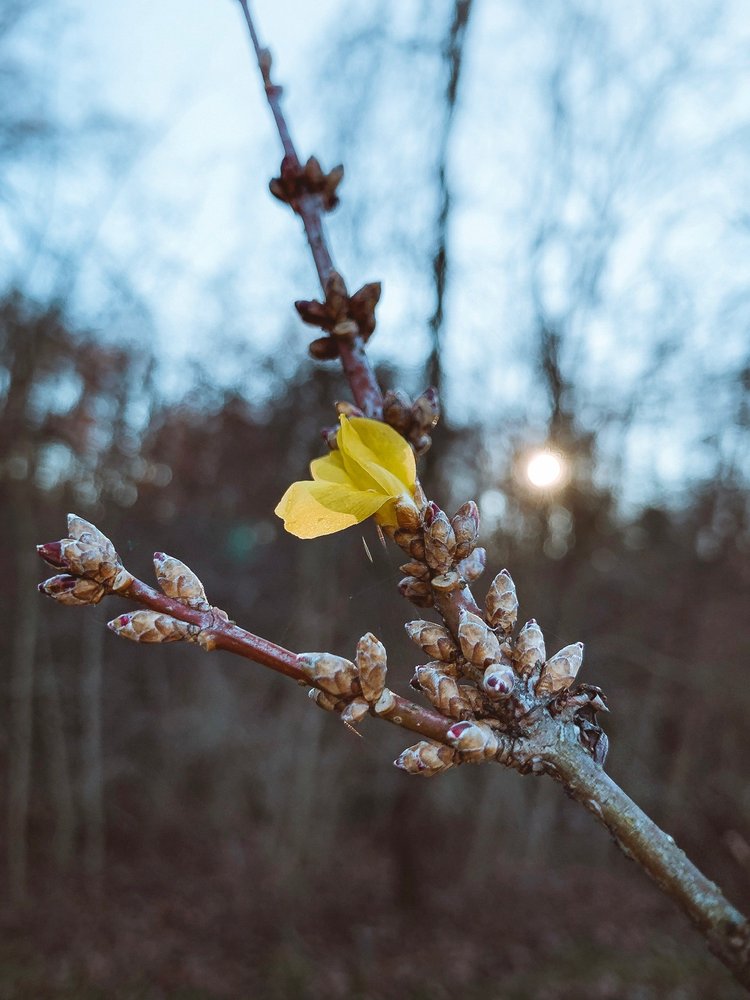 SYMMES TOWNSHIP PARK Updated August 2024 31 Photos & 12 Reviews