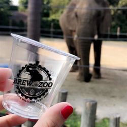 Brew At The Zoo
