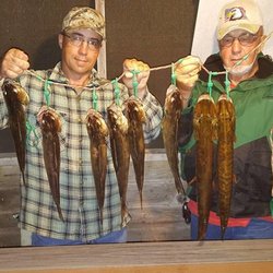 Tom Leahy's Guide Service - Chippewa Flowage Stringer, 2017 !