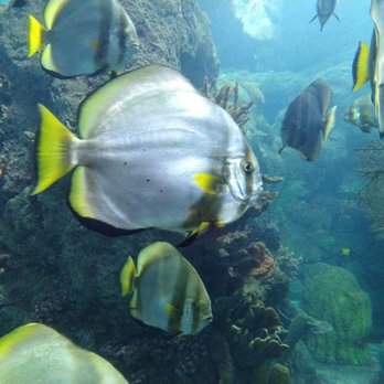 Downtown Aquarium - Museums Near Me - Denver, Colorado