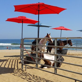 Virginia Beach Horseback - Horseback Riding Near Me - Virginia Beach, Virginia