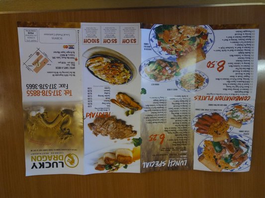 Lucky Dragon by null