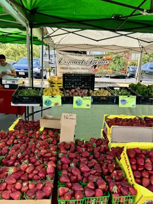 Mahany Park Farmers Market by null