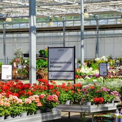 Gartencenter Kiefl
