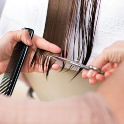 Impeckably Sharp - Hair Shears