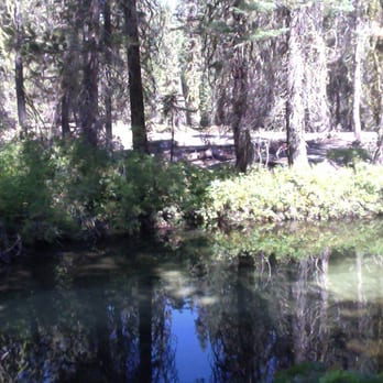 Tamarack Flat Campground - Campgrounds Near Me - Yosemite National Park, California