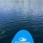 Photo of Paddlefit