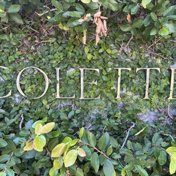 Colette Cafe