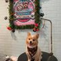 Fluffy’s Pet Salon