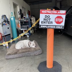 Guarded by the best boy!