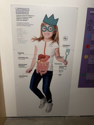 Explora - Il Museo dei Bambini di Roma by null