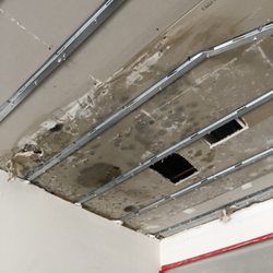 Water Mitigation Specialists