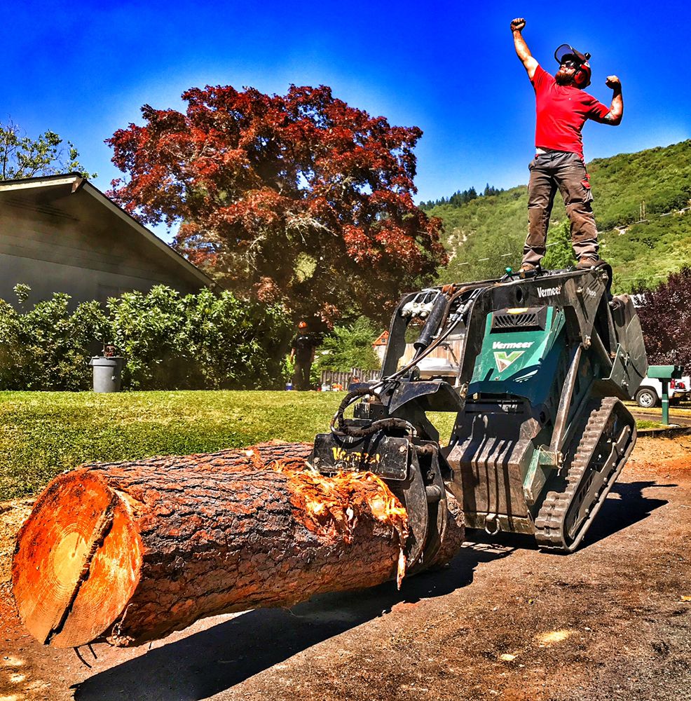 TIMBERTECH TREE CO. 33 Photos & 22 Reviews Tree Services Twain