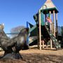 Photo of Corte Madera Town Park