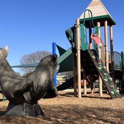 Corte Madera Town Park - seal sculpture