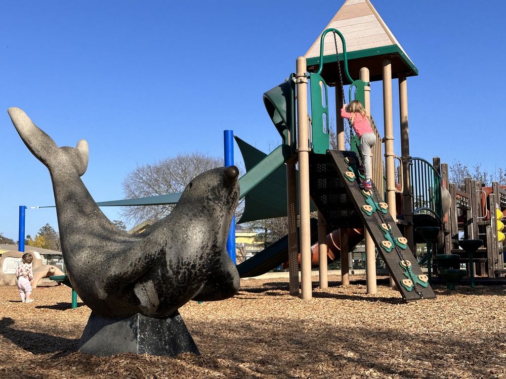 CORTE MADERA TOWN PARK Updated June 2024 57 Photos & 14 Reviews