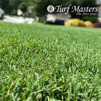 Turf Masters Lawn Care - Tree Services Near Me - Spring Hill, Tennessee Turf Masters Lawn Care - Tree Services Near Me - Spring Hill, Tennessee