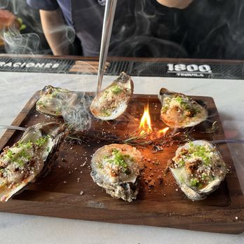 Aguasanta - Roasted Oysters--Amazing!! - Diners Near Me - New Orleans, Louisiana Aguasanta - Roasted Oysters--Amazing!! - Diners Near Me - New Orleans, Louisiana