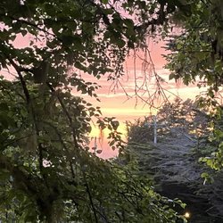 The Andiron Seaside Inn & Cabins - Sunset from the window.