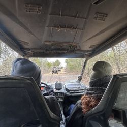 Hog Wild Adventures
